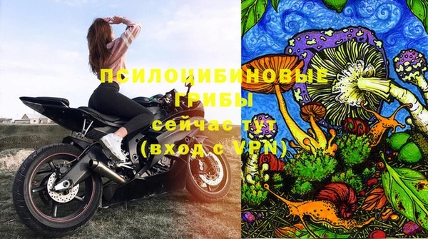 амф Богородск
