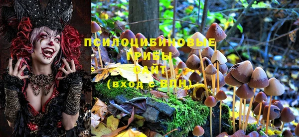 альфа пвп Богданович