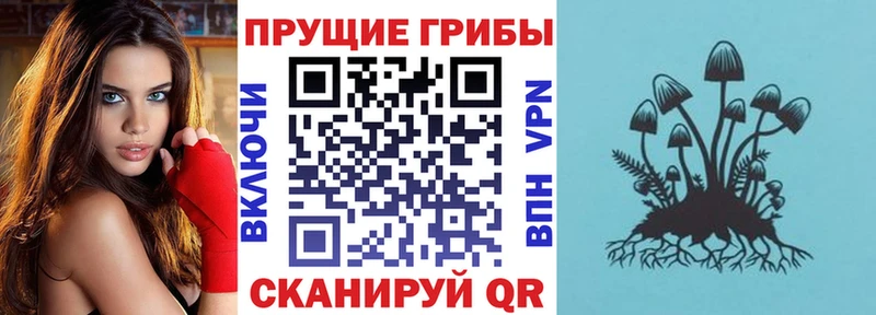 Псилоцибиновые грибы мухоморы Купить где Бикин